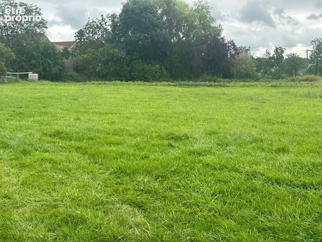 Maison de 4 chambres et son terrain de 7500 m2 - photo 15
