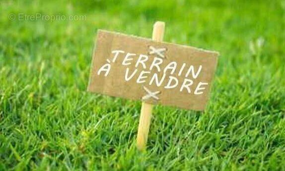 Terrain à BOISSY-SOUS-SAINT-YON