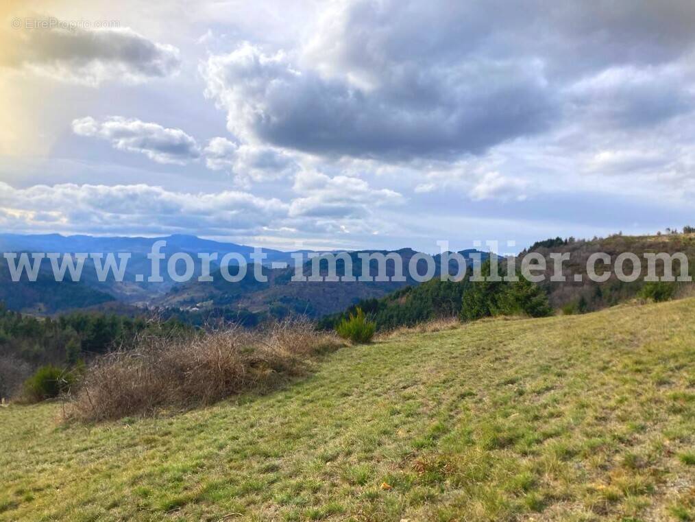 Terrain à LE CHEYLARD