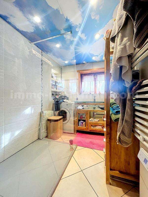 perrin_00003 - Maison à VIUZ-EN-SALLAZ