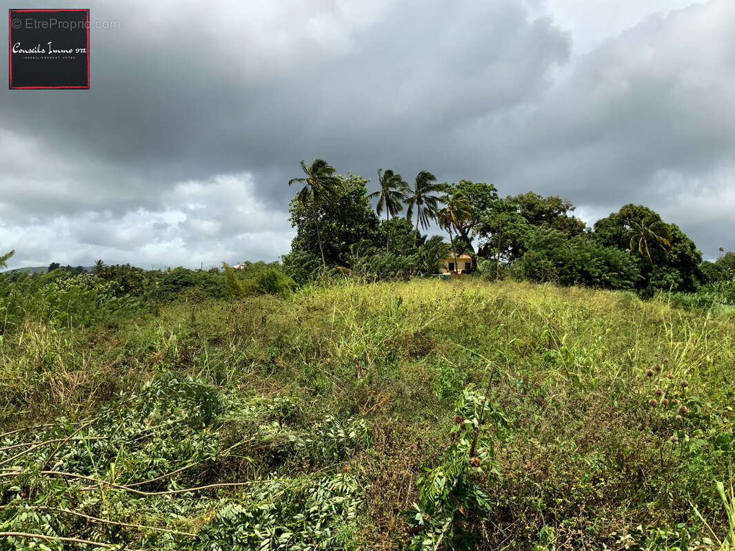 Terrain à SAINTE-MARIE