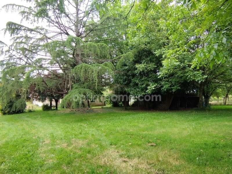 Maison à SAINT-ANGEAU