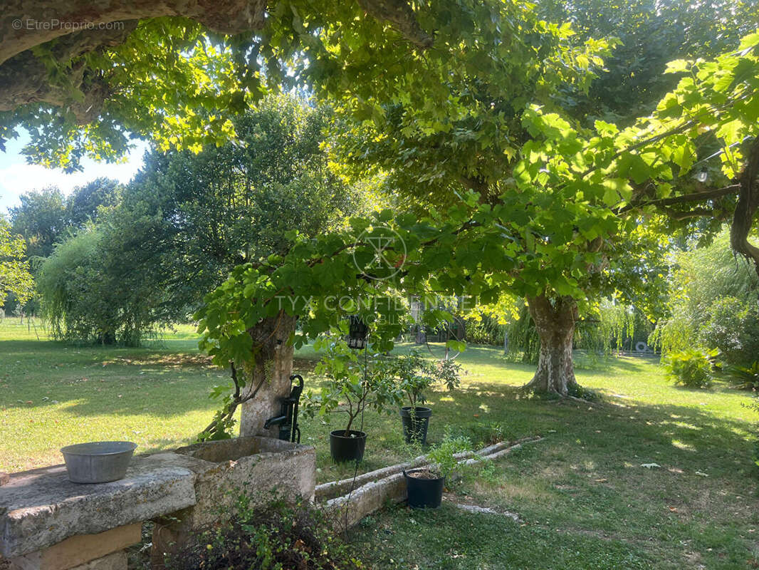 Mas Saint Remy De Provence  325 m2 - photo 4