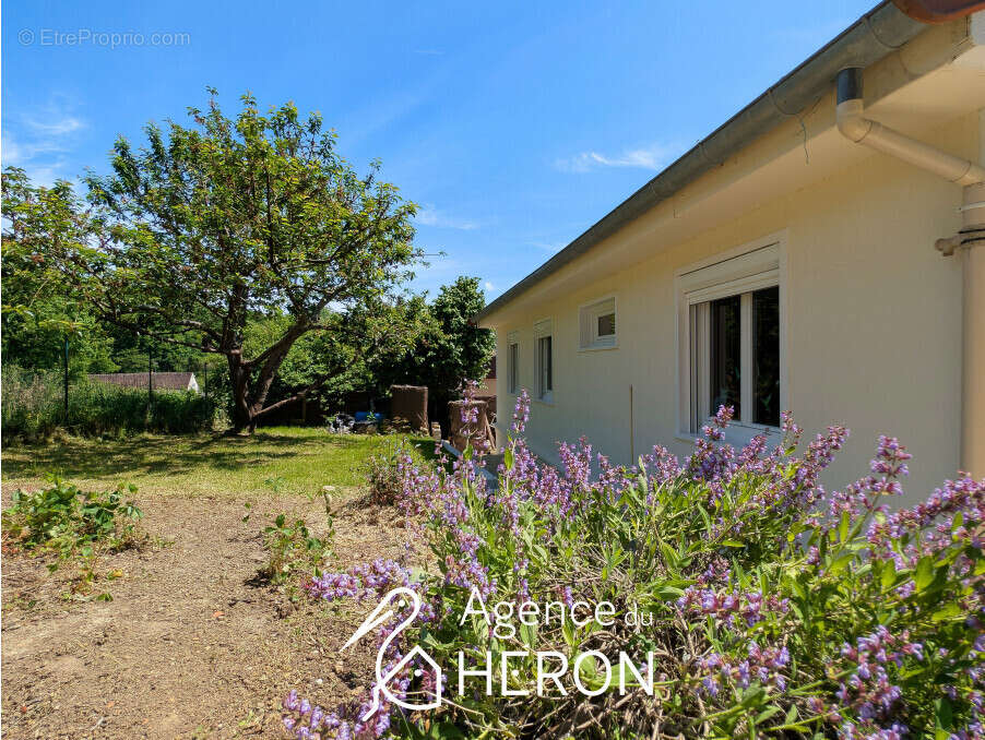 Maison à FAY-LES-NEMOURS