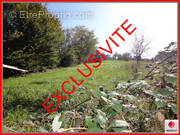 Terrain à LE BREUIL