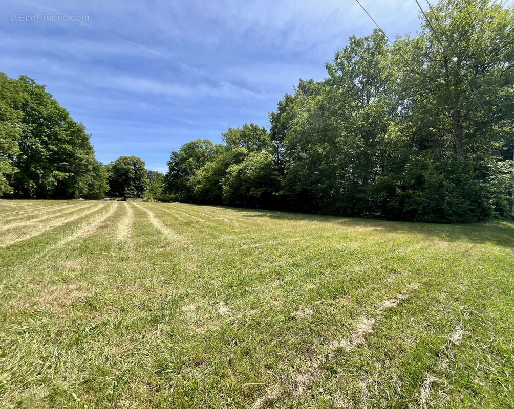 Terrain à SAINTE-MARIE-DE-CHIGNAC