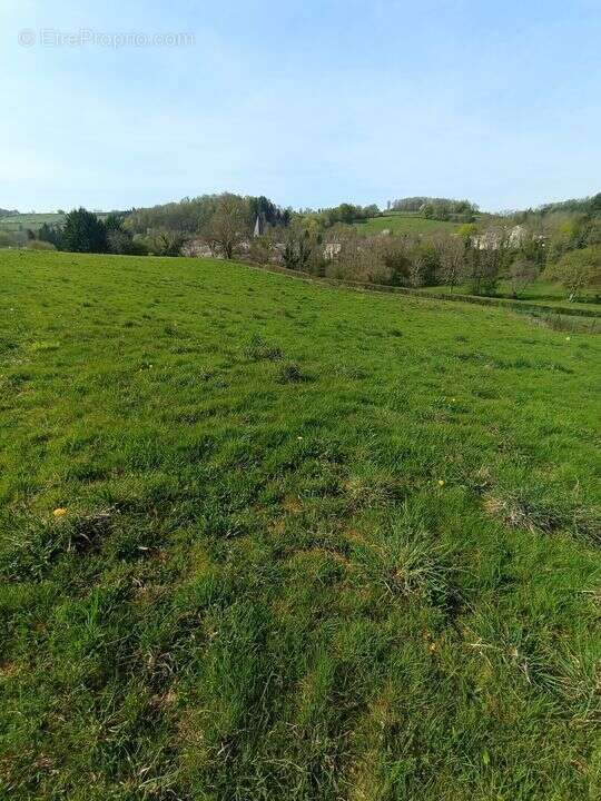Terrain à FERRIERES-SUR-SICHON