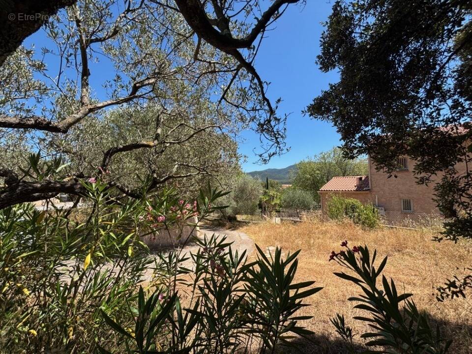 Terrain à PIGNANS