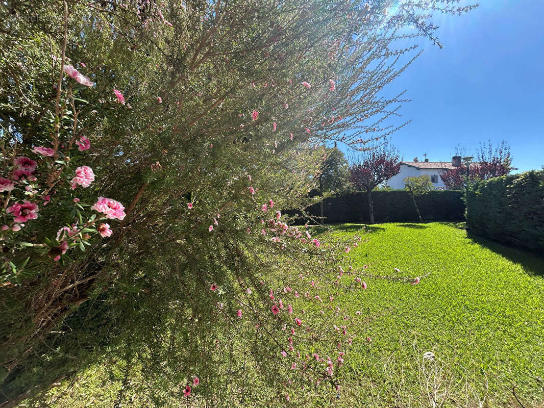 Maison à SAINT-JEAN-DE-LUZ