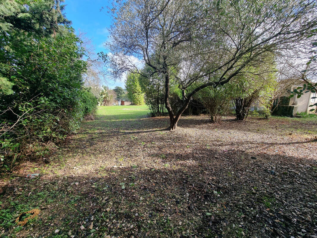 Terrain à SUSSARGUES