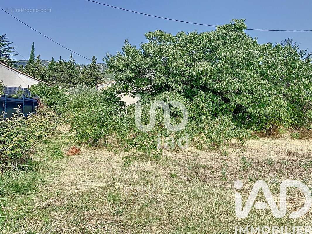 Photo 6 - Terrain à VOLX