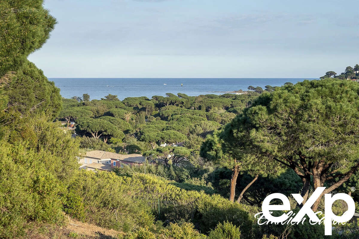 Terrain à SAINTE-MAXIME