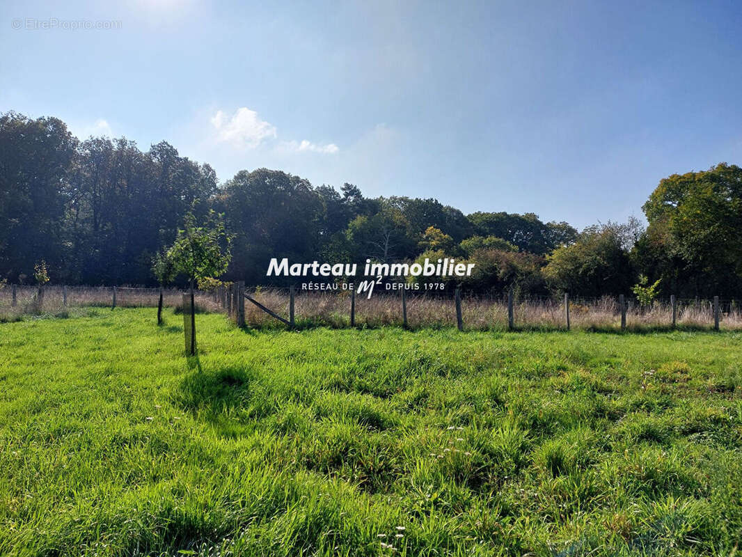 Maison à MARIGNE-LAILLE