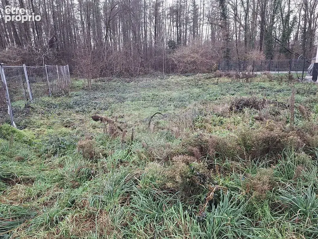 Terrain  à vendre - photo 2