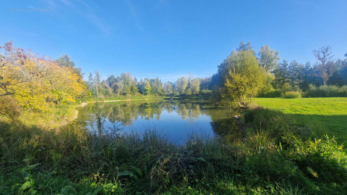 Terrain à MAINTENON