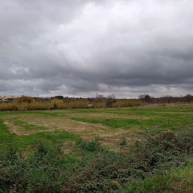 Terrain à PUISSERGUIER