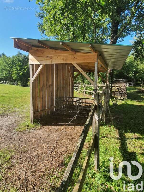 Photo 4 - Terrain à SALLES