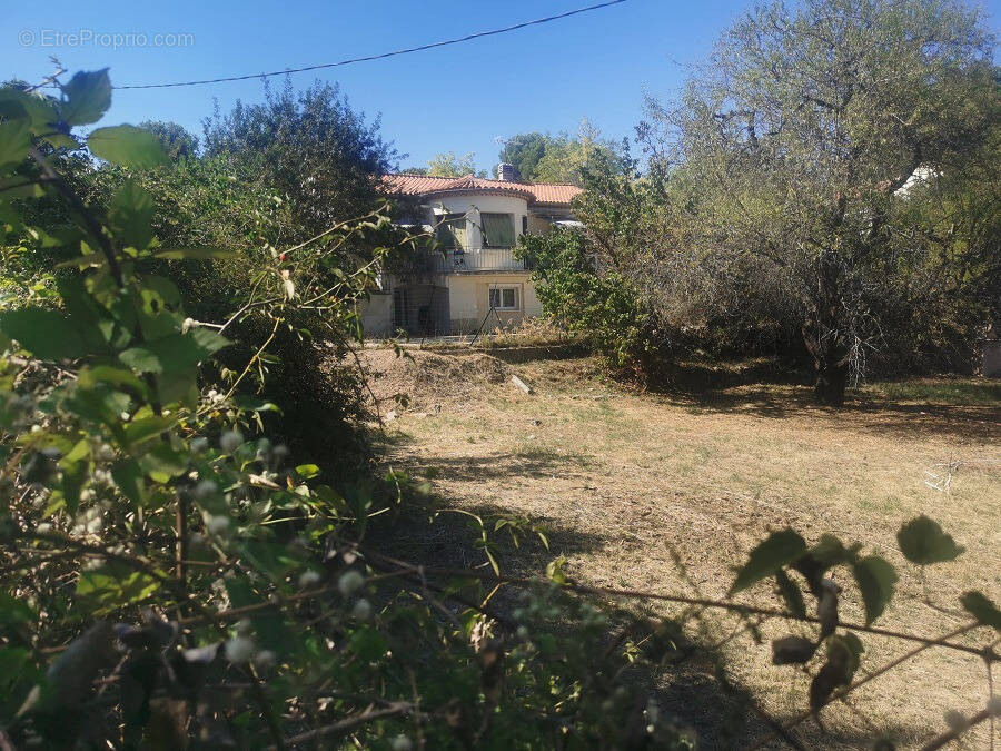 Terrain à PERTUIS