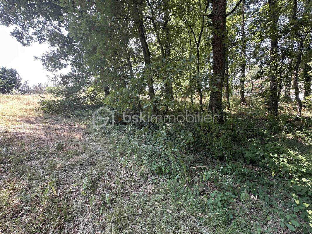 Terrain à GIROUSSENS