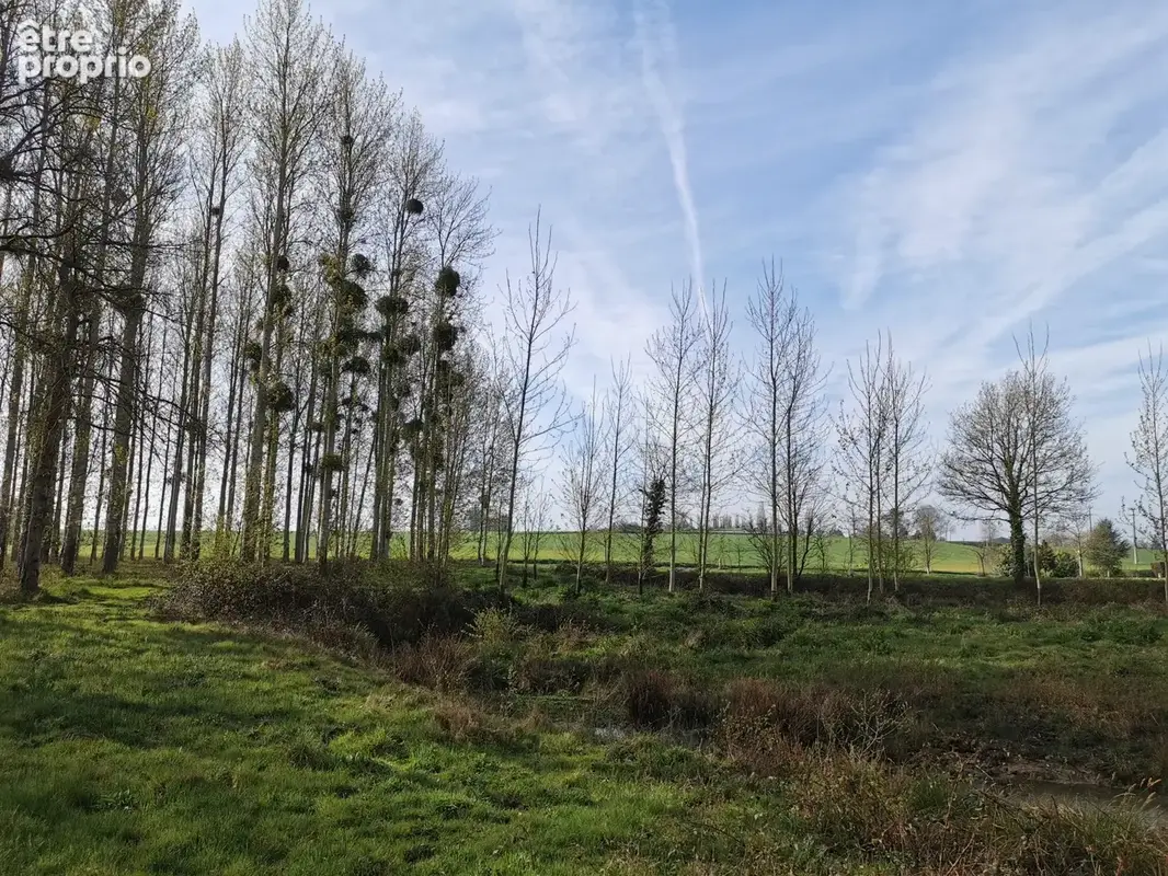 Terrain 17000 m² à Caulnes  - photo 3