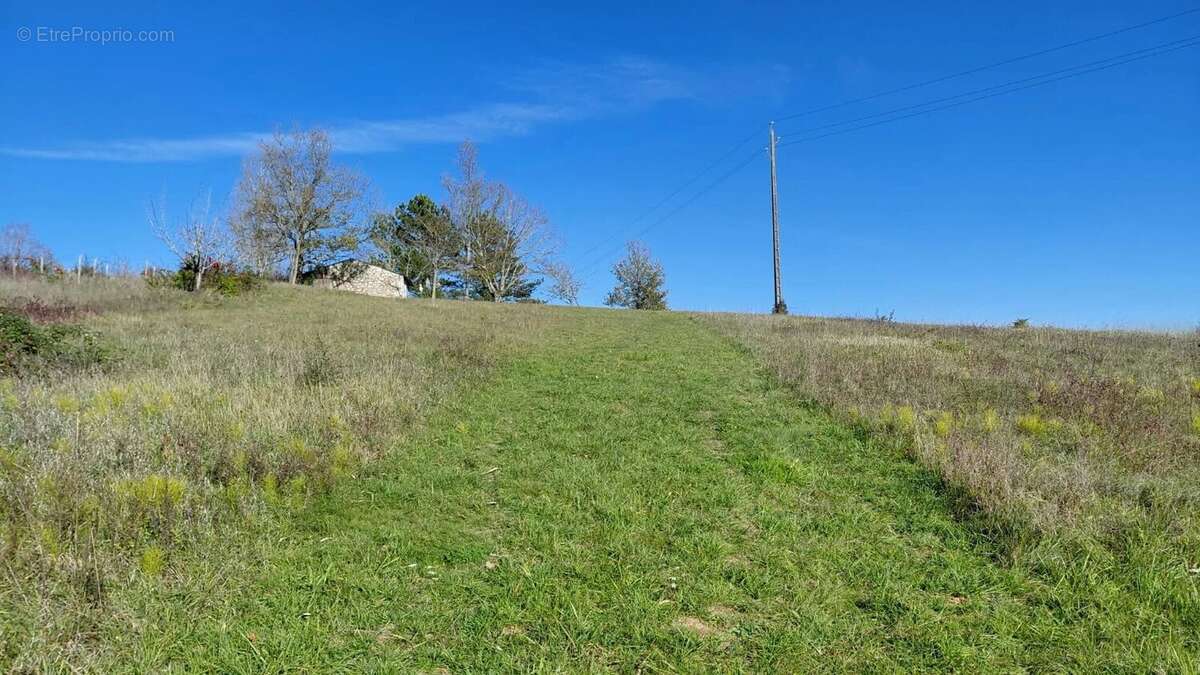 Terrain à MONTPEZAT-DE-QUERCY