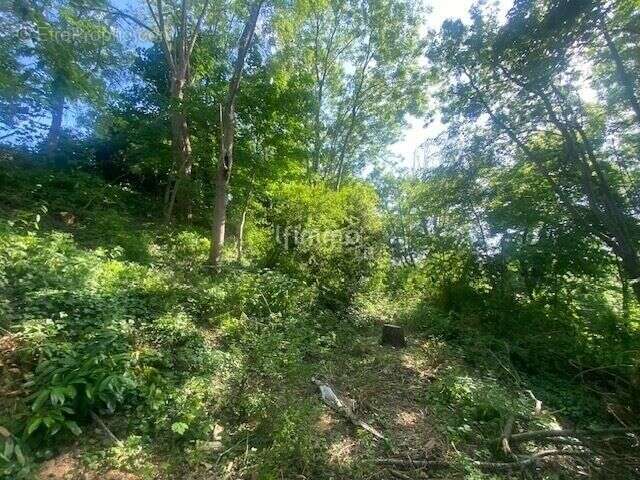 Terrain à CHENNEVIERES-SUR-MARNE