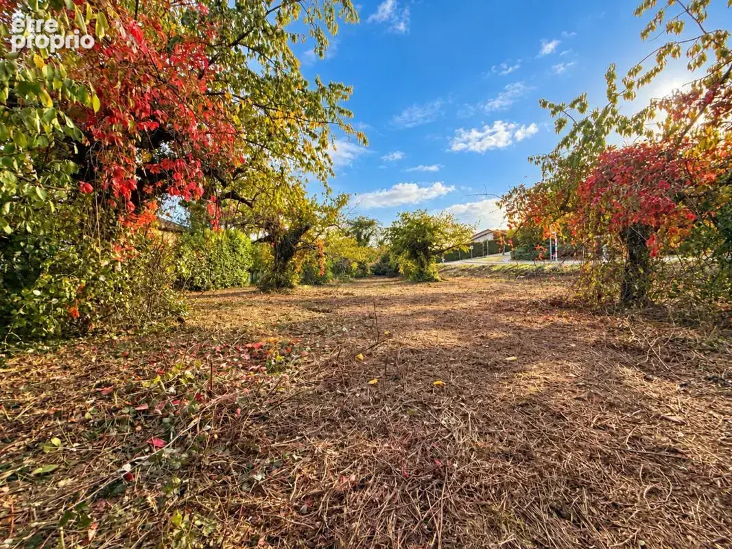 Terrain 1 475 m² à vendre à Vourles (69390) - photo 2