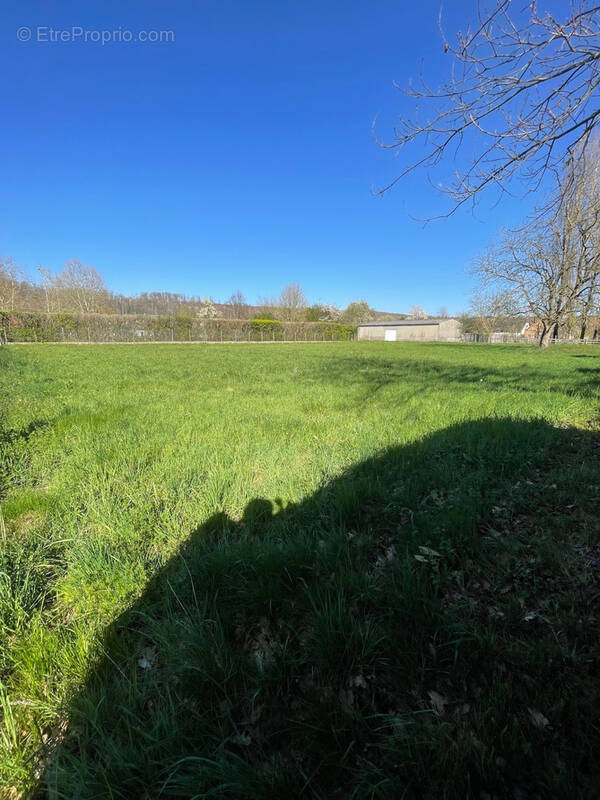 Terrain à HIRTZBACH