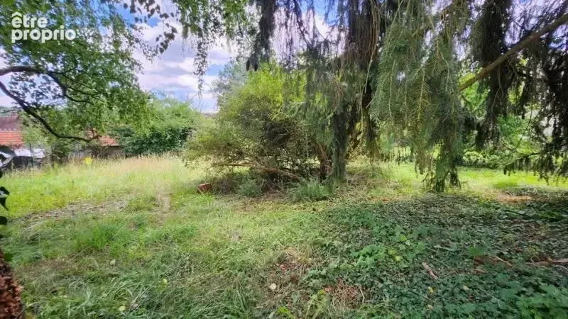 Terrain à CUISE-LA-MOTTE