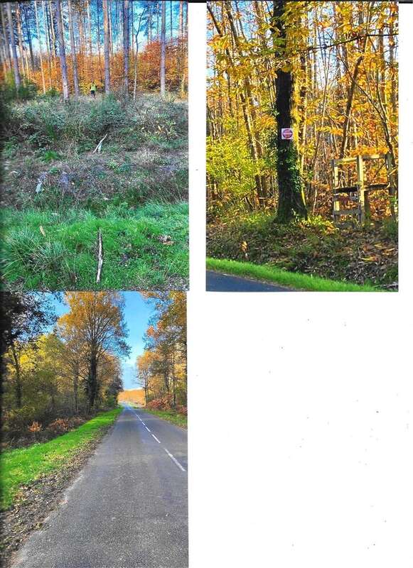 Terrain 89166 m² à Langeais  - photo 2