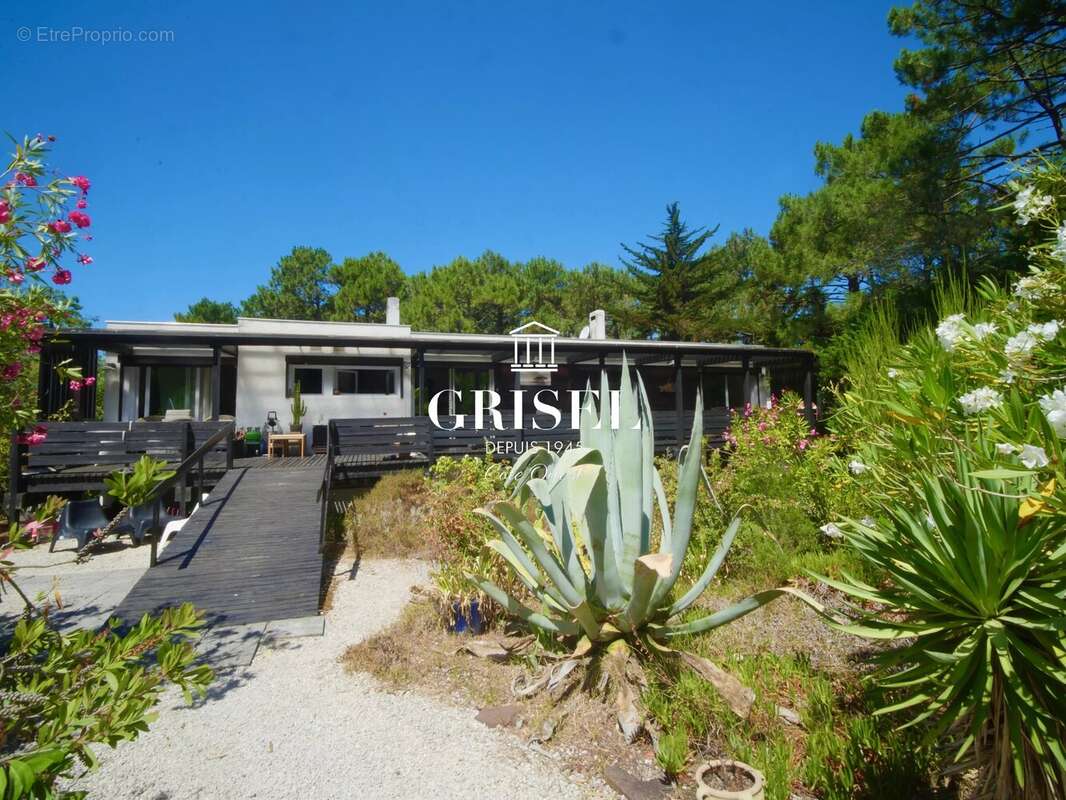 Maison à LEGE-CAP-FERRET