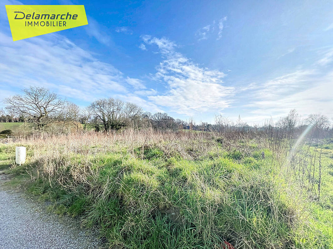 Terrain à COUDEVILLE-SUR-MER