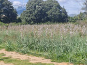 Terrain à GHISONACCIA