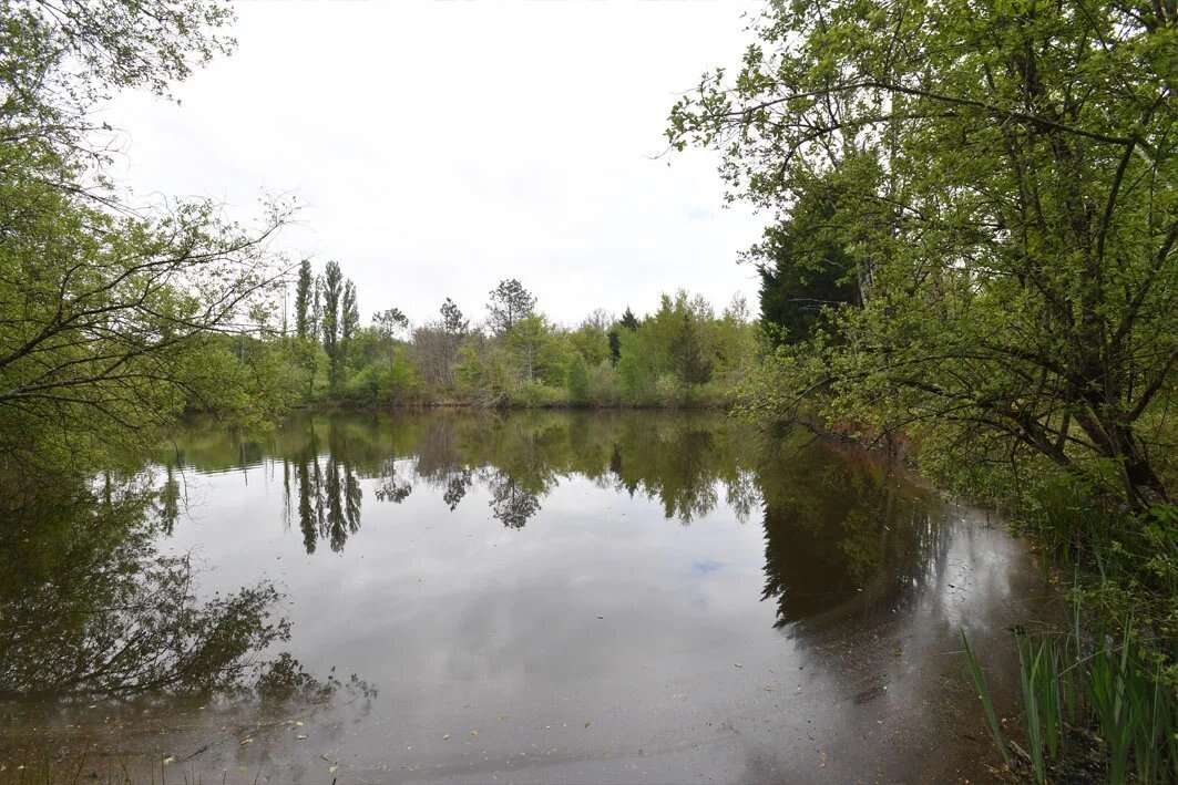 Maison de quatre chambres avec 14 hectares et un lac. - photo 18