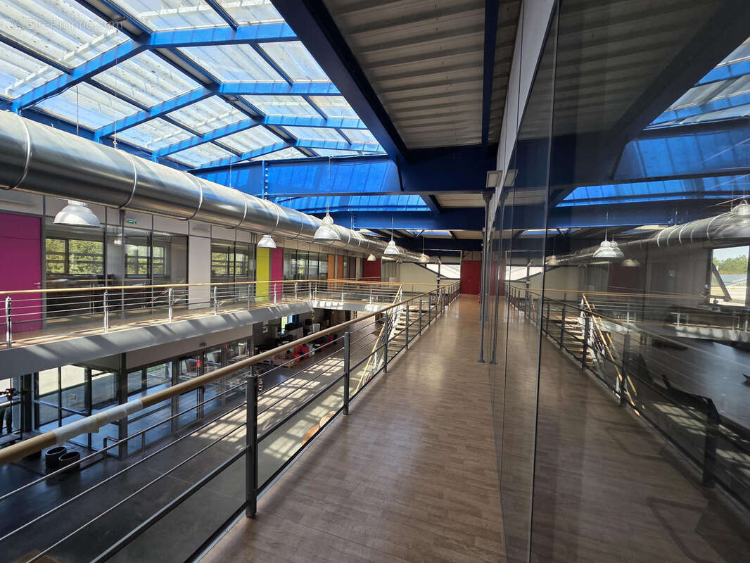 Commerce à BEAUCOUZE