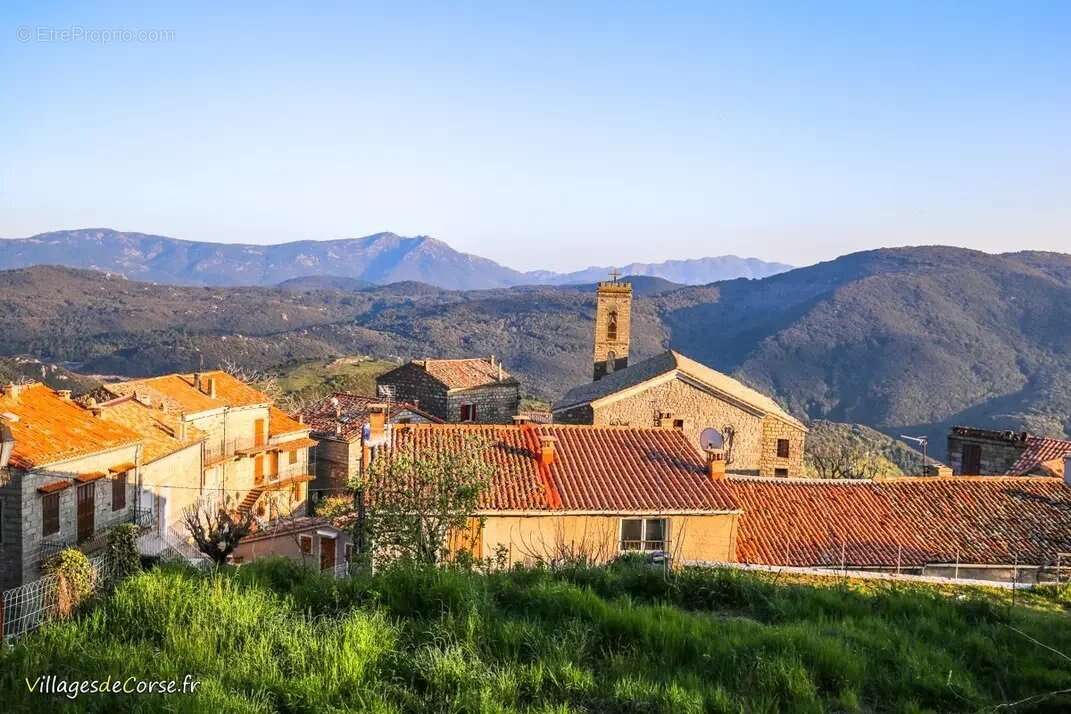 Serra di scopamene - photo 6