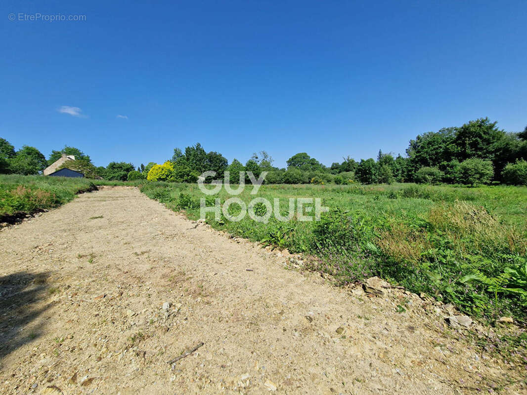 Terrain à SAINT-GUYOMARD