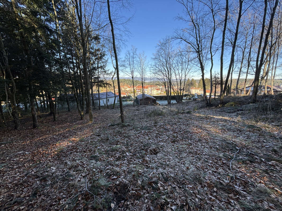 Terrain à SAINTE-SIGOLENE