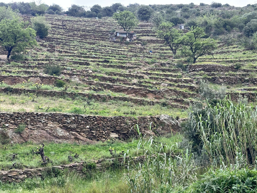 Terrain à PORT-VENDRES