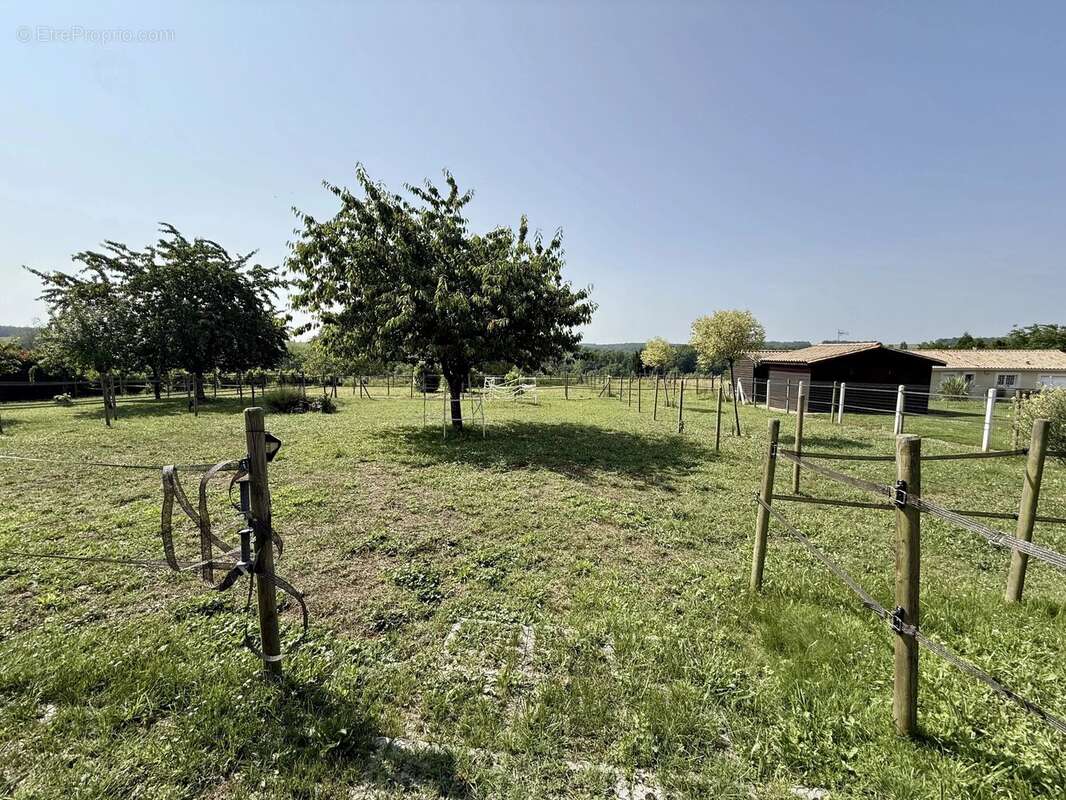 Propriété Équestre en Pierre – Installations pour Chevaux & Écurie à Proximité - photo 13