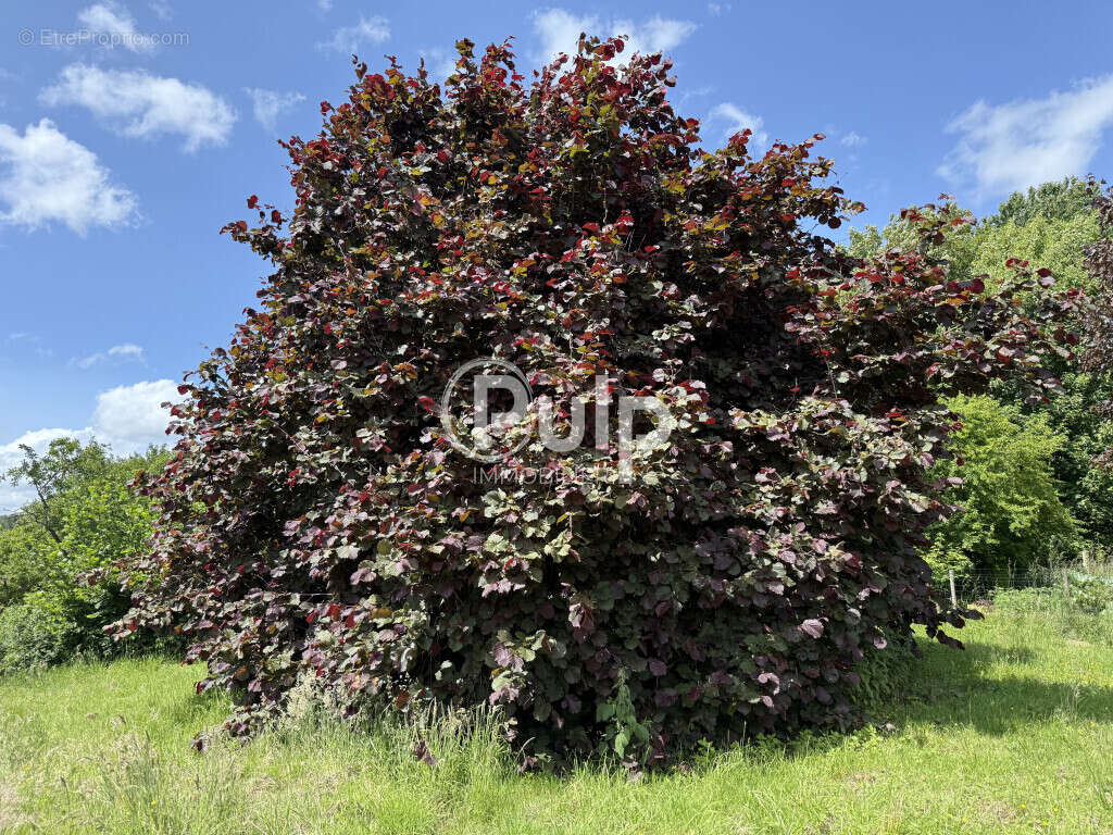 Terrain à LE PONCHEL