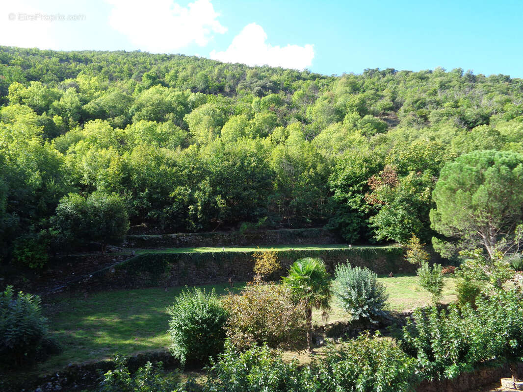 Commerce à DOURBIES