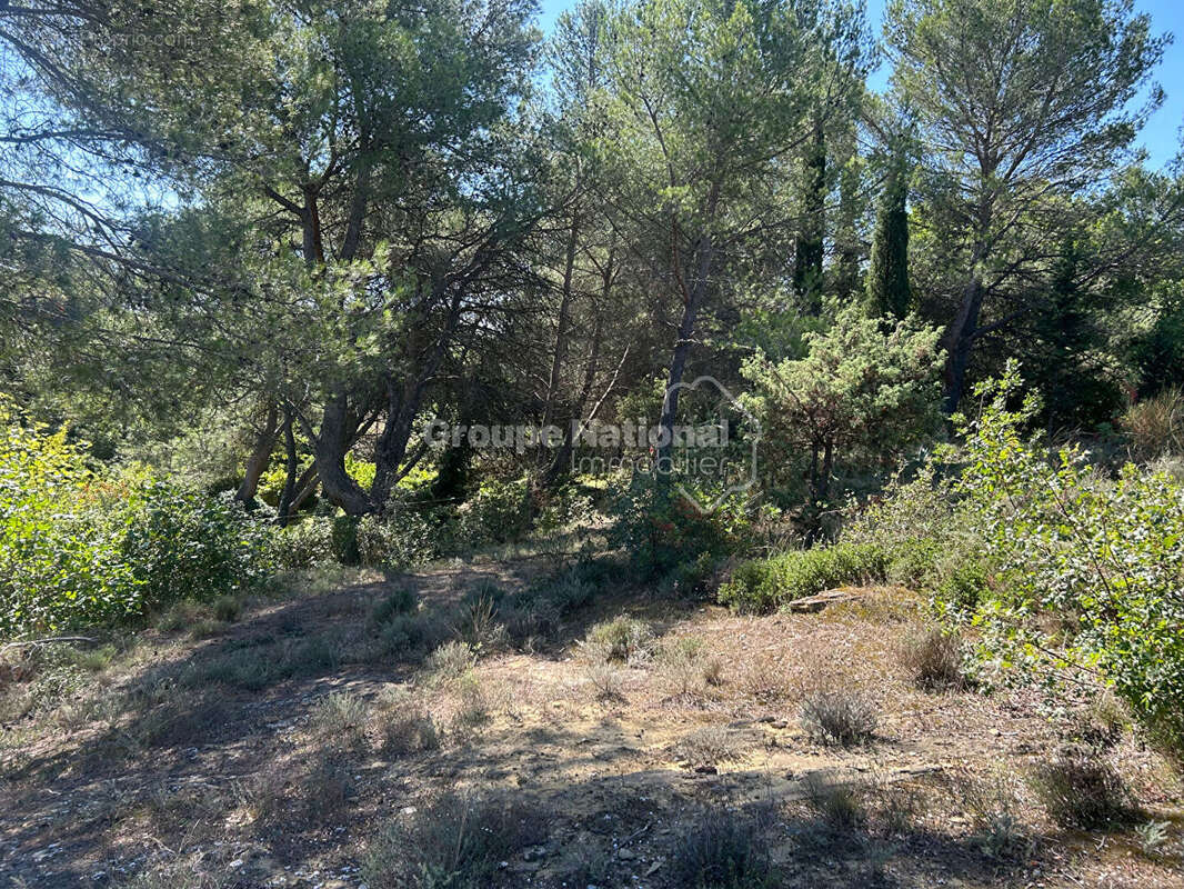 Terrain à VILLENEUVE-LES-AVIGNON