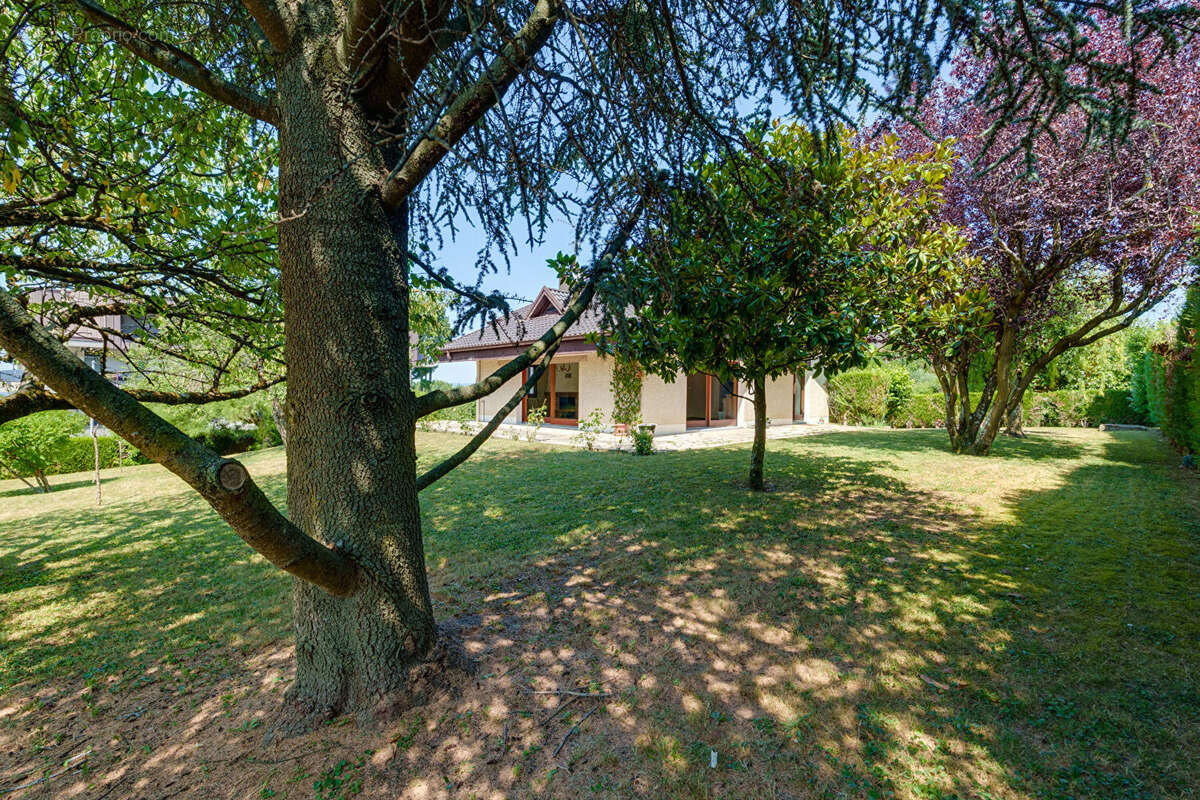 Maison Evian Les Bains 4 pièces 133,7m² sur 1330m² de terrain - photo 2