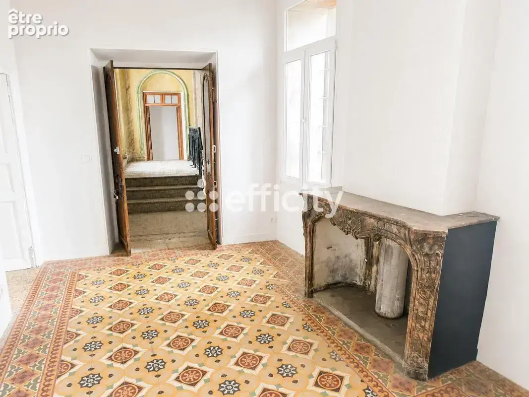 Maison 20 pièces 485 m² à vendre à Ille-Sur-Tet (66130) - photo 4
