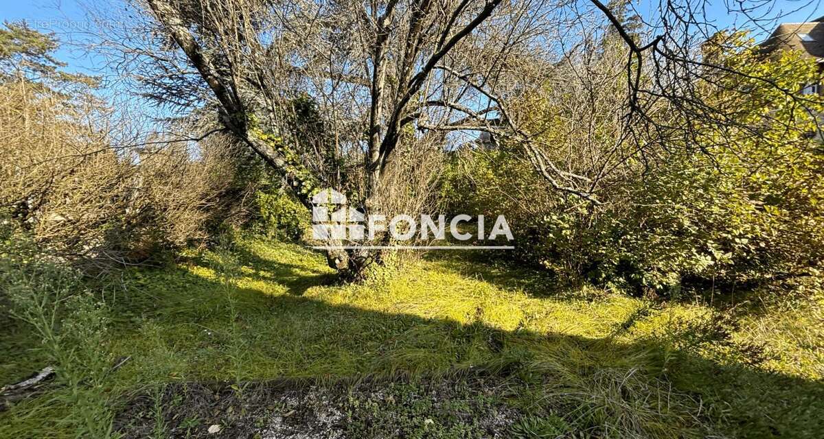 Terrain à VERSAILLES