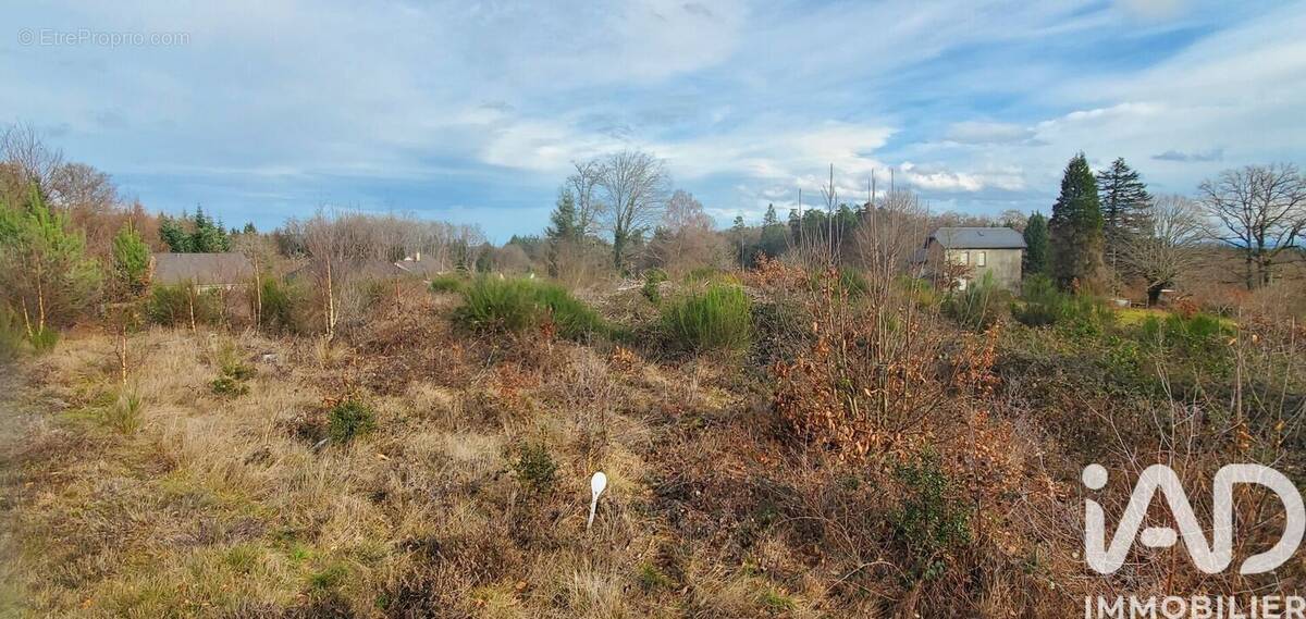 Photo 1 - Terrain à CHIRAC-BELLEVUE