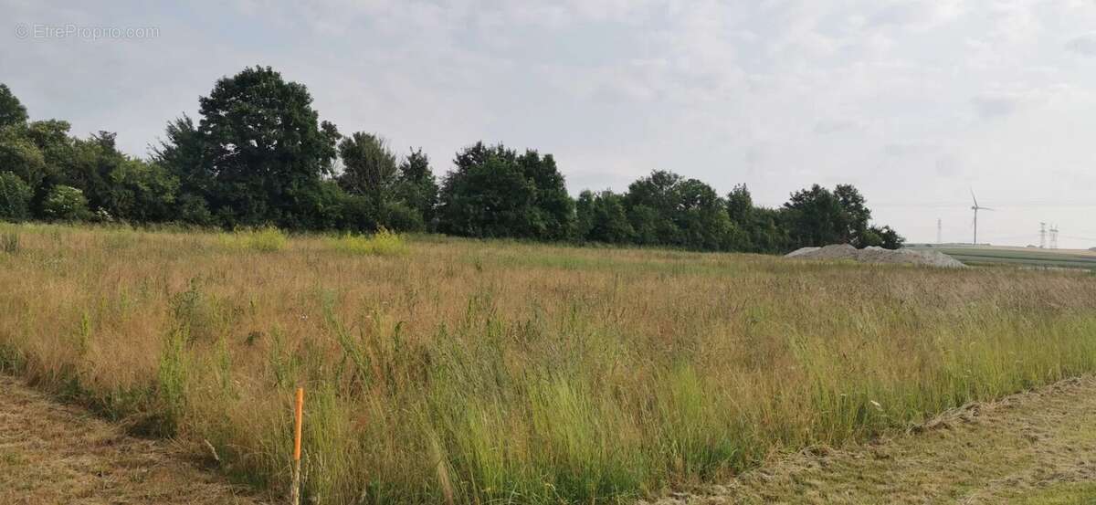 Terrain à SAINTE-MAURE