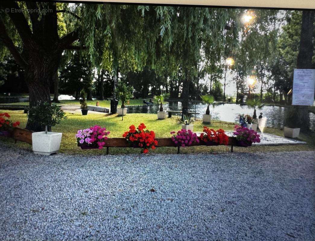 Commerce à ESCAUTPONT