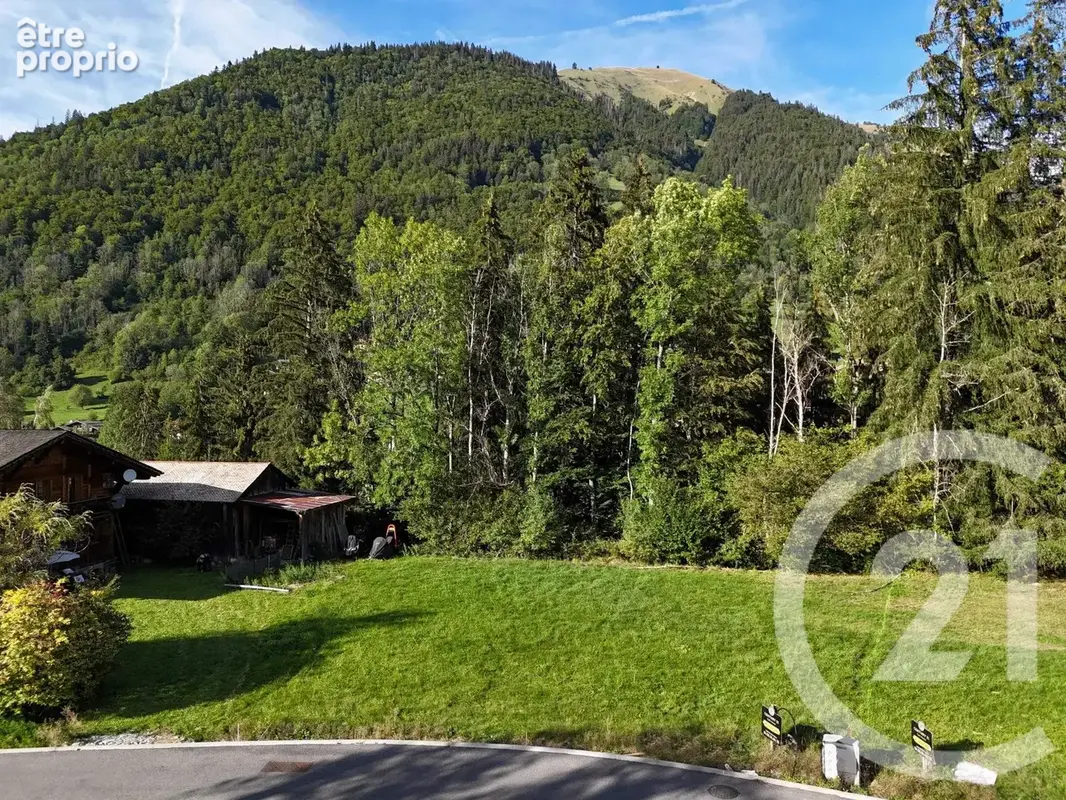 Terrain 745 m² à vendre à Montriond (74110) - photo 2